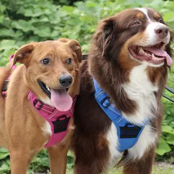 Venture Paw Pull Control Dog Harness (5 Colors)