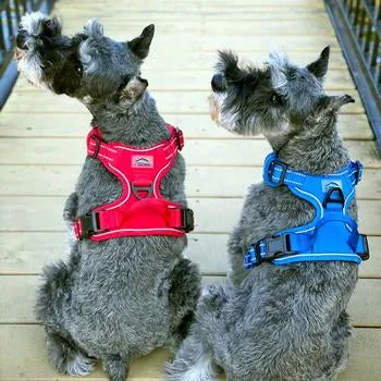 Venture Paw Pull Control Dog Harness (5 Colors)