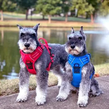 Venture Paw Pull Control Dog Harness (5 Colors)