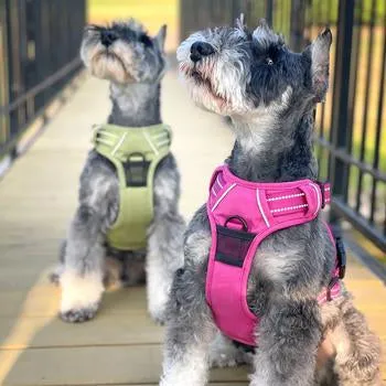 Venture Paw Pull Control Dog Harness (5 Colors)