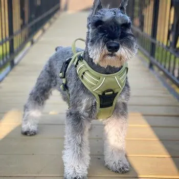 Venture Paw Pull Control Dog Harness (5 Colors)
