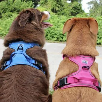 Venture Paw Pull Control Dog Harness (5 Colors)