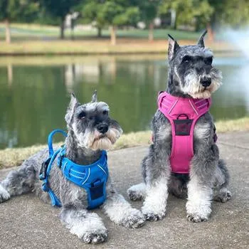 Venture Paw Pull Control Dog Harness (5 Colors)