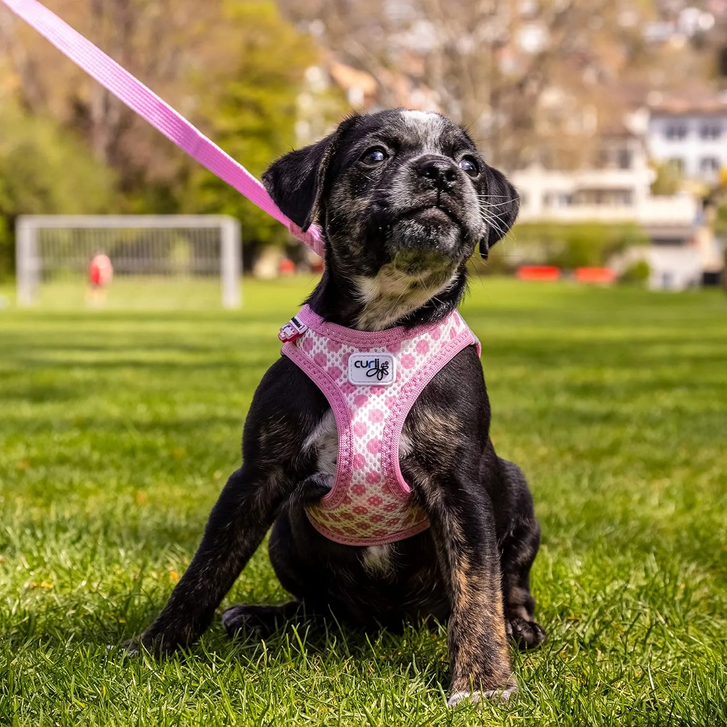 Vest Harness curli Clasp Air-Mesh Pink-Circles S & Leash M