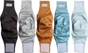 Washable Dogs Diapers Male Dog Belly Band for Small Dogs,Pack of 5 Reusable Super Absorbent Doggie Diapers Male Puppy Belly Wrap,XS