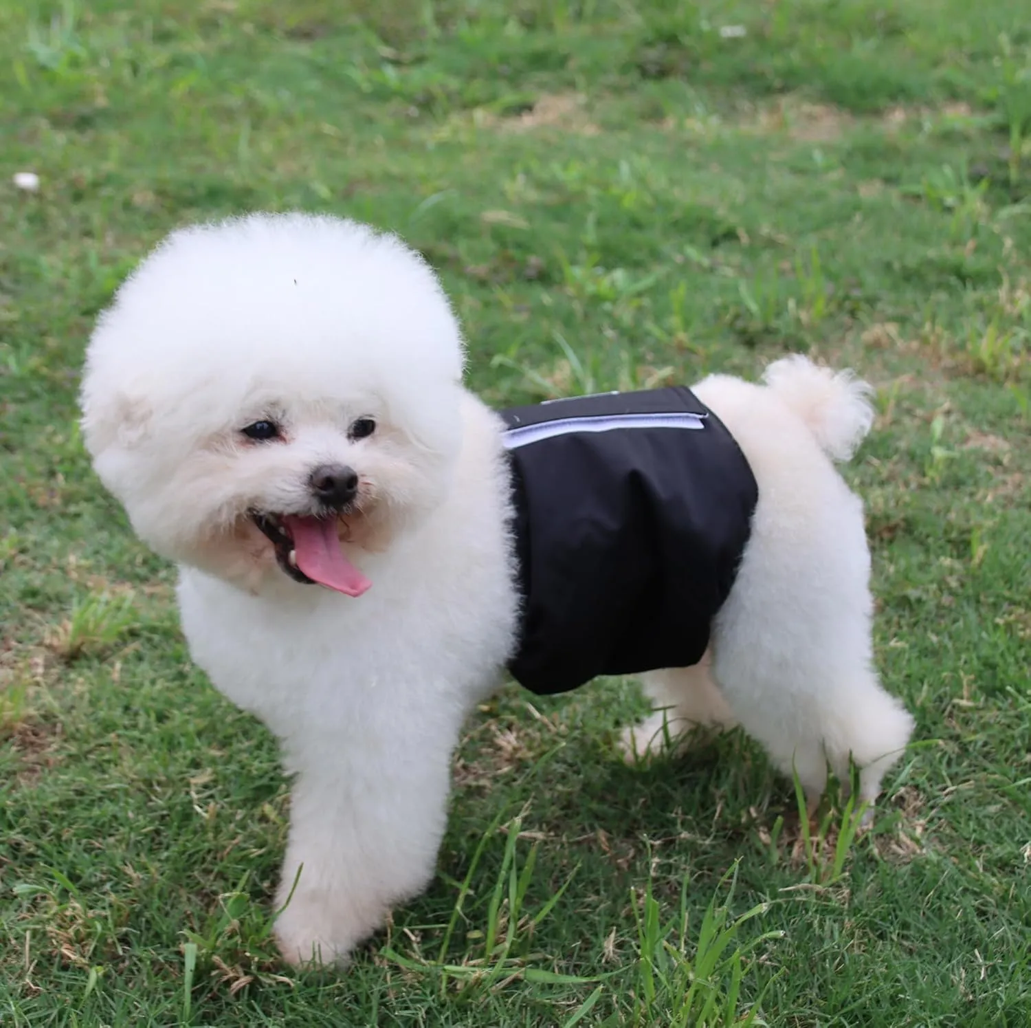 Washable Dogs Diapers Male Dog Belly Band for Small Dogs,Pack of 5 Reusable Super Absorbent Doggie Diapers Male Puppy Belly Wrap,XS