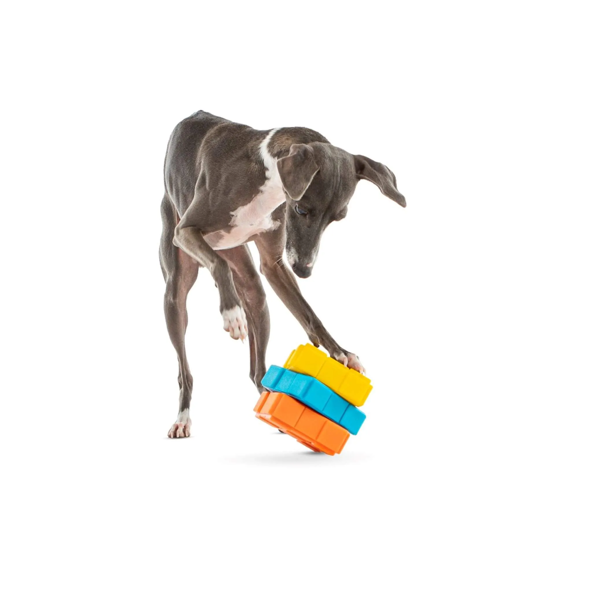 X Cube Treat Dispenser Dog Toy
